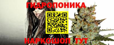 гашик Новодвинск