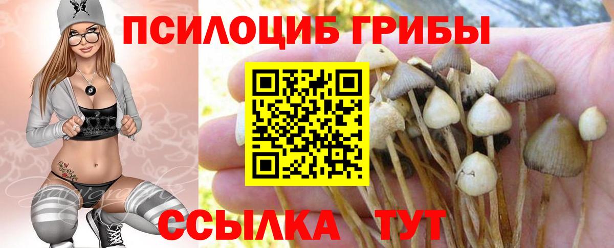 Галлюциногенные грибы прущие грибы Павлово